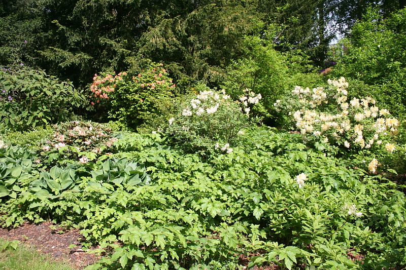 Killikus® Fotographie Killikus® Fotographie